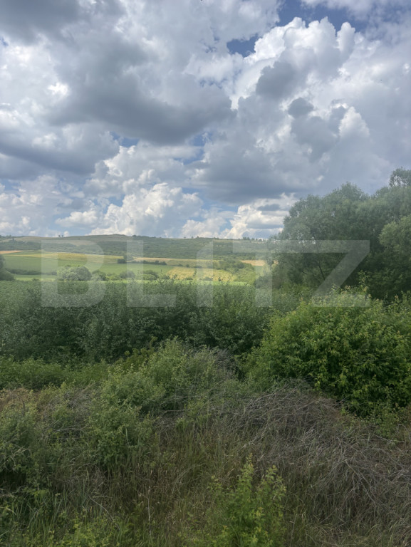Teren extravilan, la intrare in Zauan