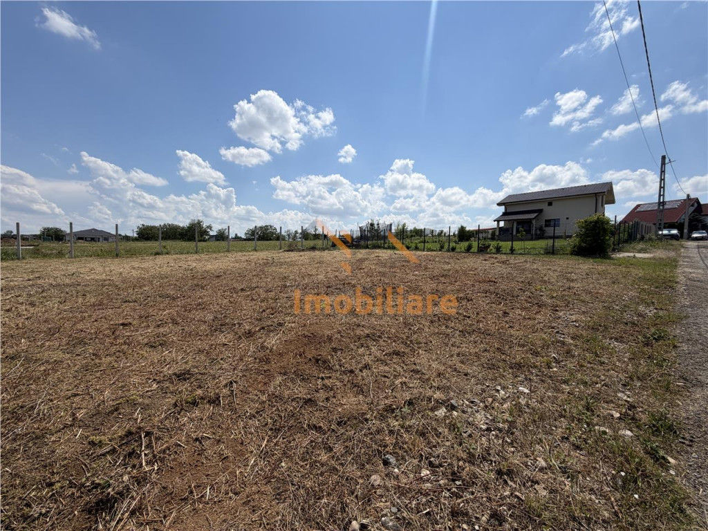 TEREN INTRAVILAN 800 MP | ZONA PALEU | BIHOR