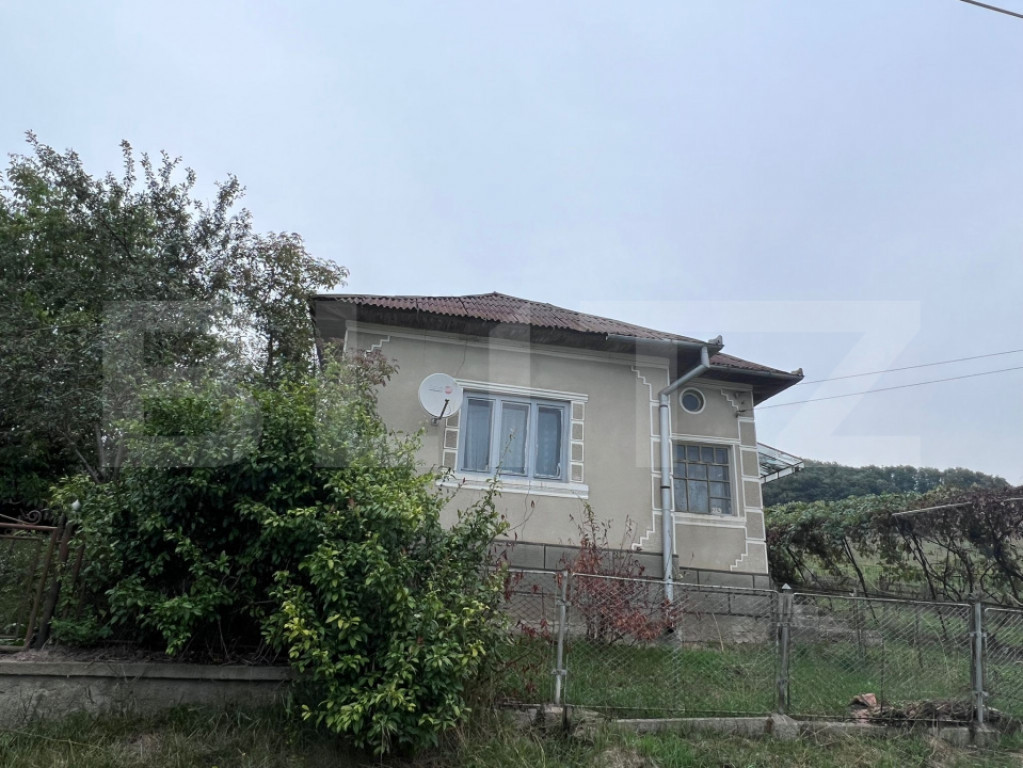 Casă cu potențial deosebit și teren de 3.400 mp în Recea