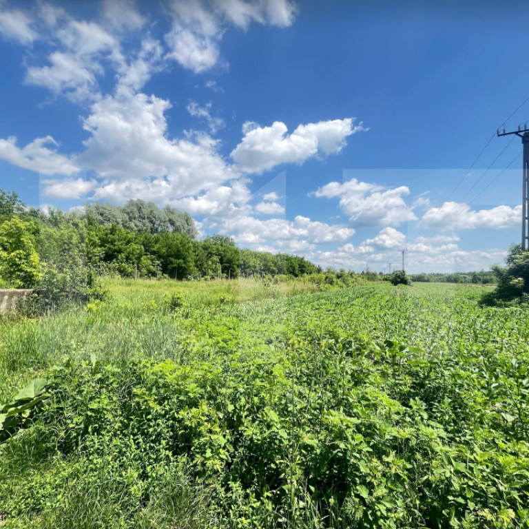 Teren 9.300 mp pentru investiție, Dorohoi, lângă viitoare