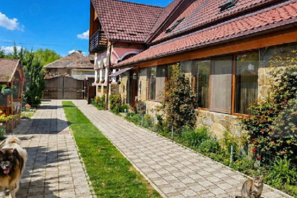 Conac modern cu saună, ciubăr și seră, 1.500 mp grădin?