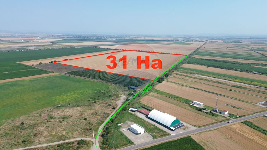 Teren 31HA patrat la drum Vanatori