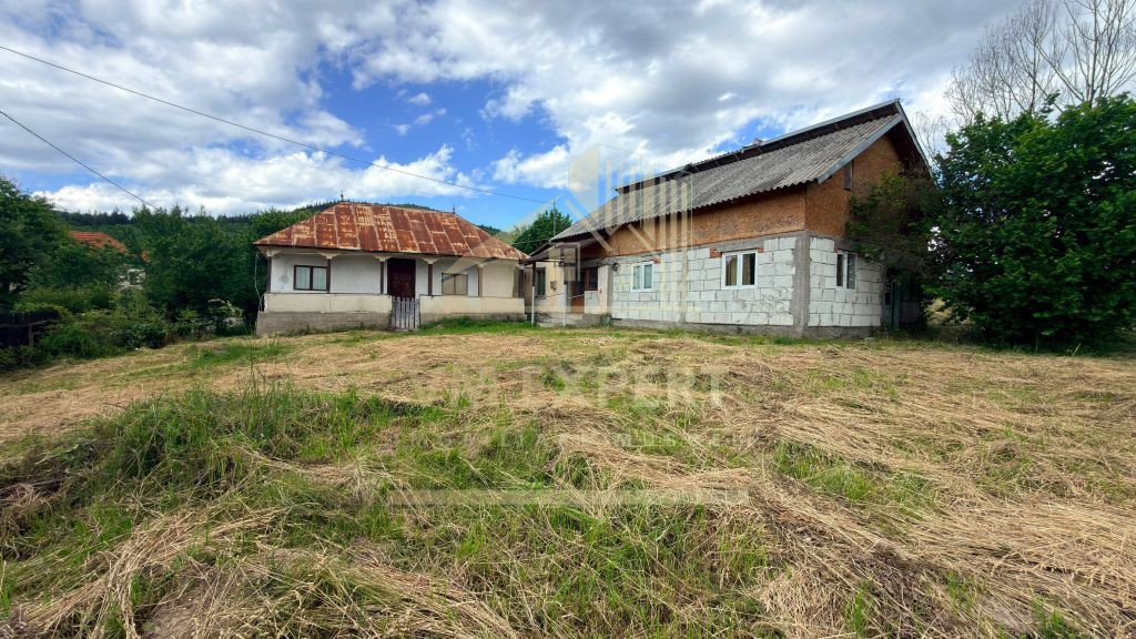 CASĂ CU TEREN INTRAVILAN 6997 MP BUGHEA DE SUS ARGEȘ