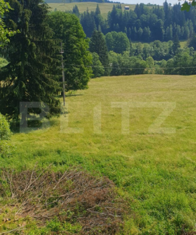 Teren 3.573 mp, intravilan, zona Vatra Dornei