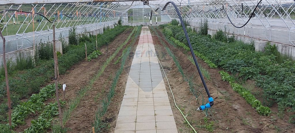 Teren 9,500 mp cu sere si utilitati langa DN 14