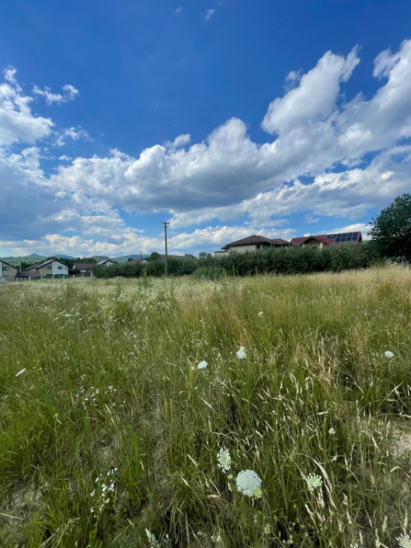 Teren intravilan, toate utilitatile, 14,56 arii, zona Drurel