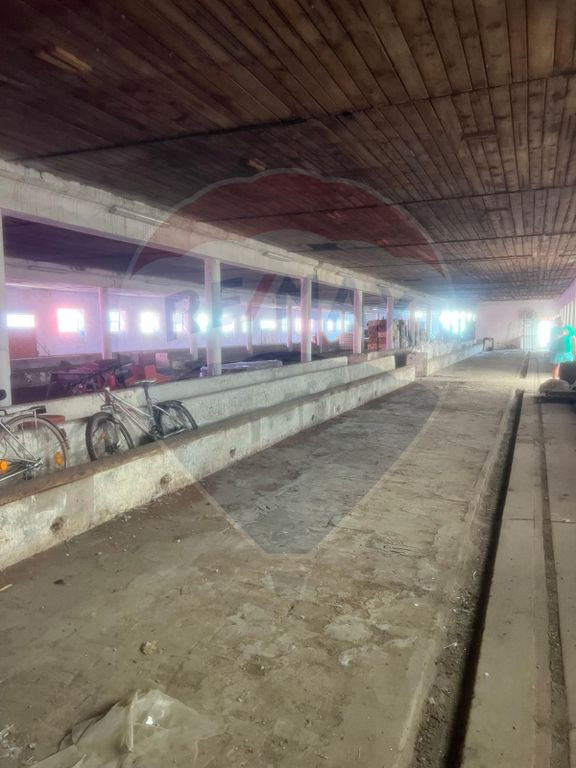 Spațiu Industrial de Închiriat | zona industriala Sofronea