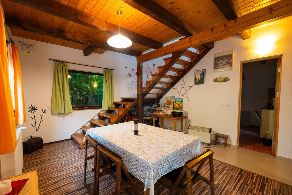 Casă de vânzare cu teren 2.340 mp și pârâu propriu ?...