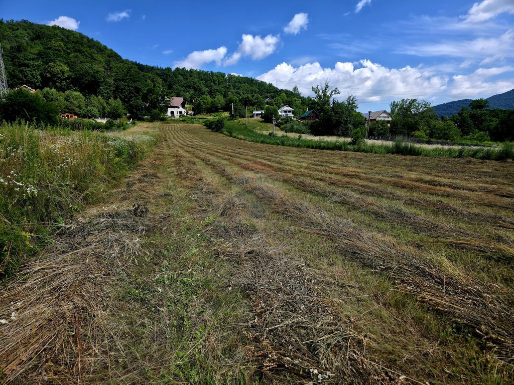 Teren 600mp Viisoara / Strada Primaverii