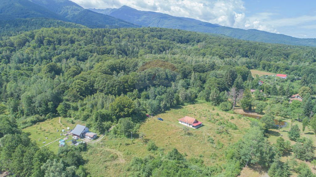Casă de vacanță la poalele Munților Făgăraș | Tere...