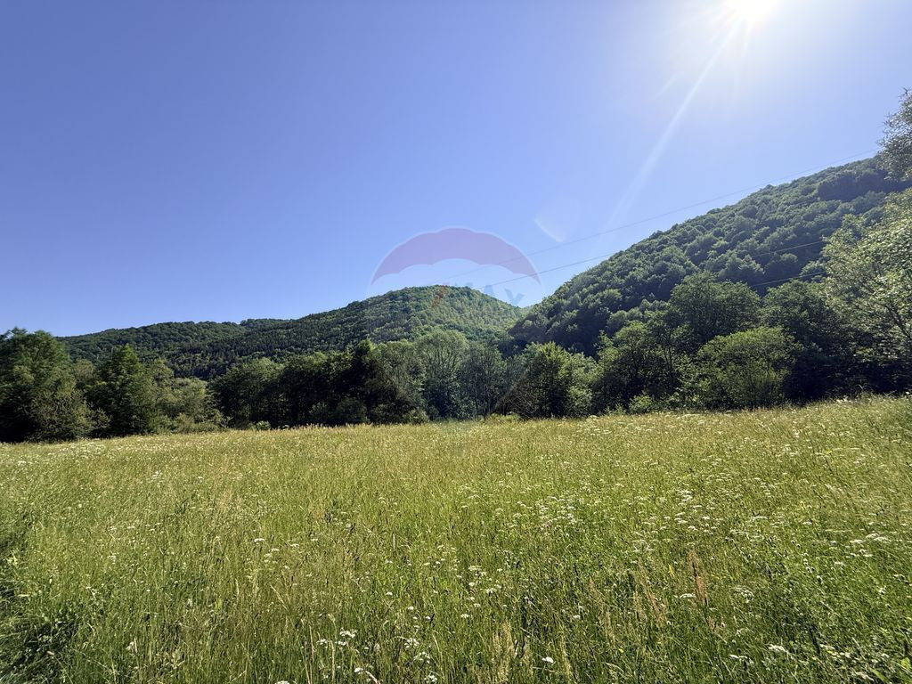 Teren Scrind-Frasinet 2 ha