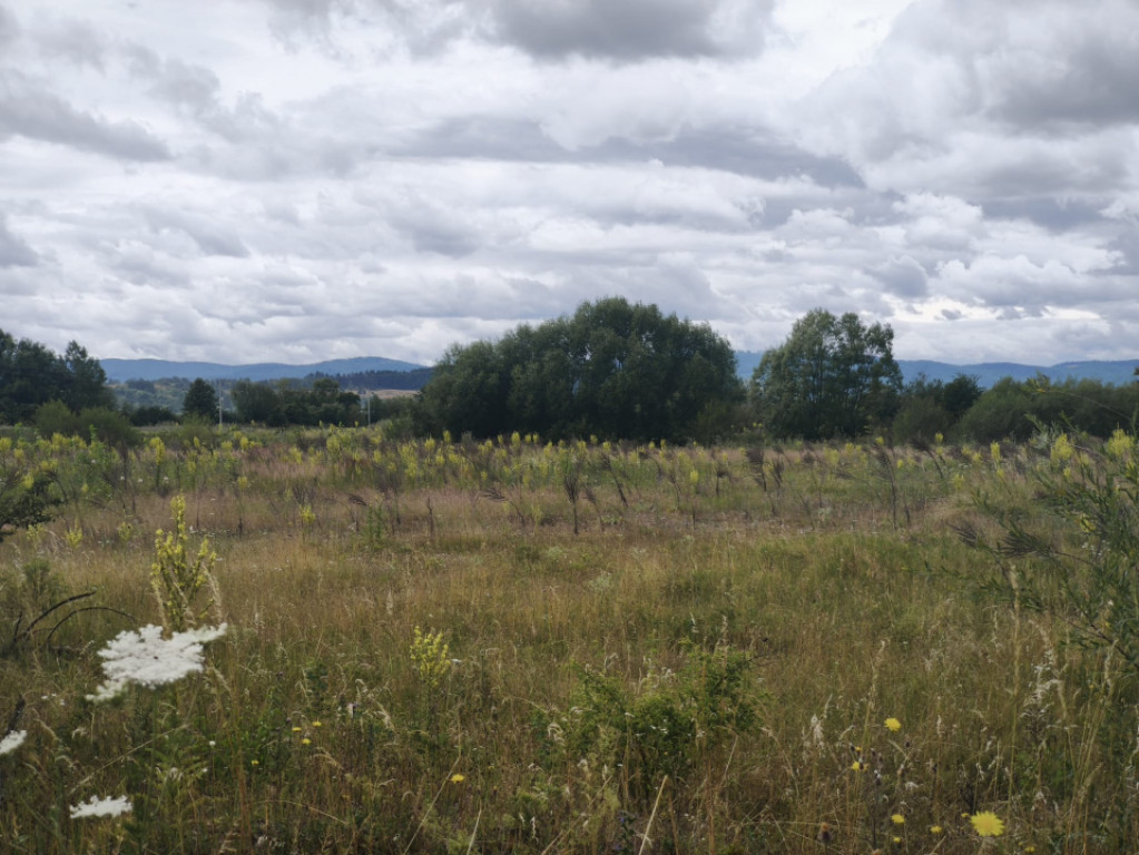 Teren intravilan 4594 mp, deschidere 66 ml, Galanesti, Radau