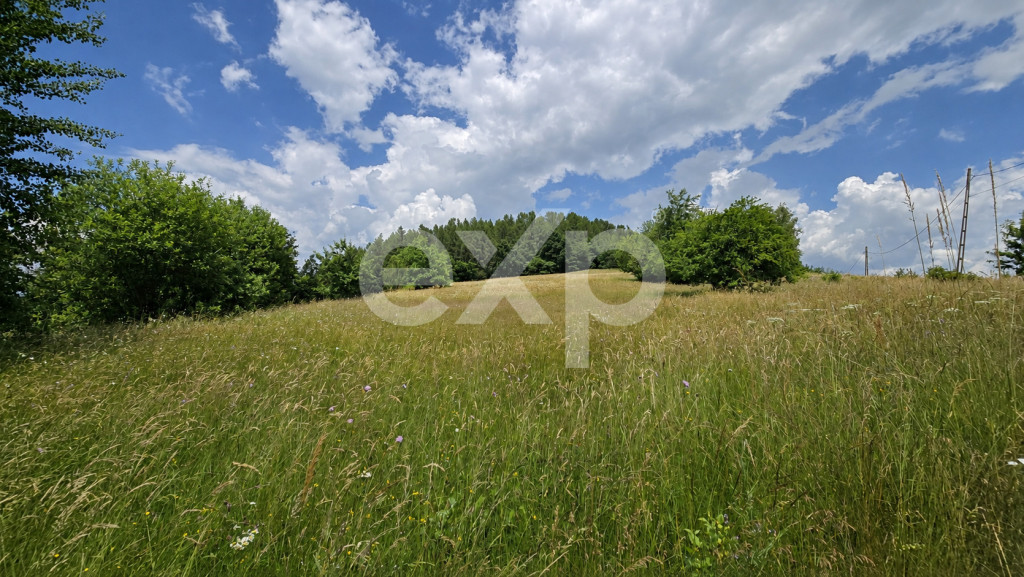 PANORAMA POIANA MĂRULUI | Teren cu potențial de dezvoltare
