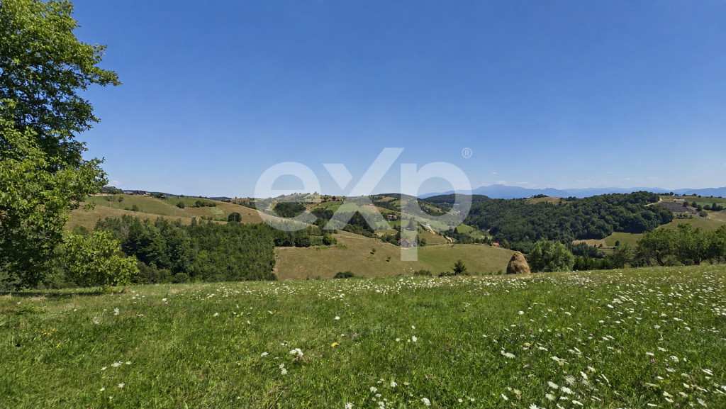 8.544 mp în Poiana Mărului | Teren cu potențial, la doar