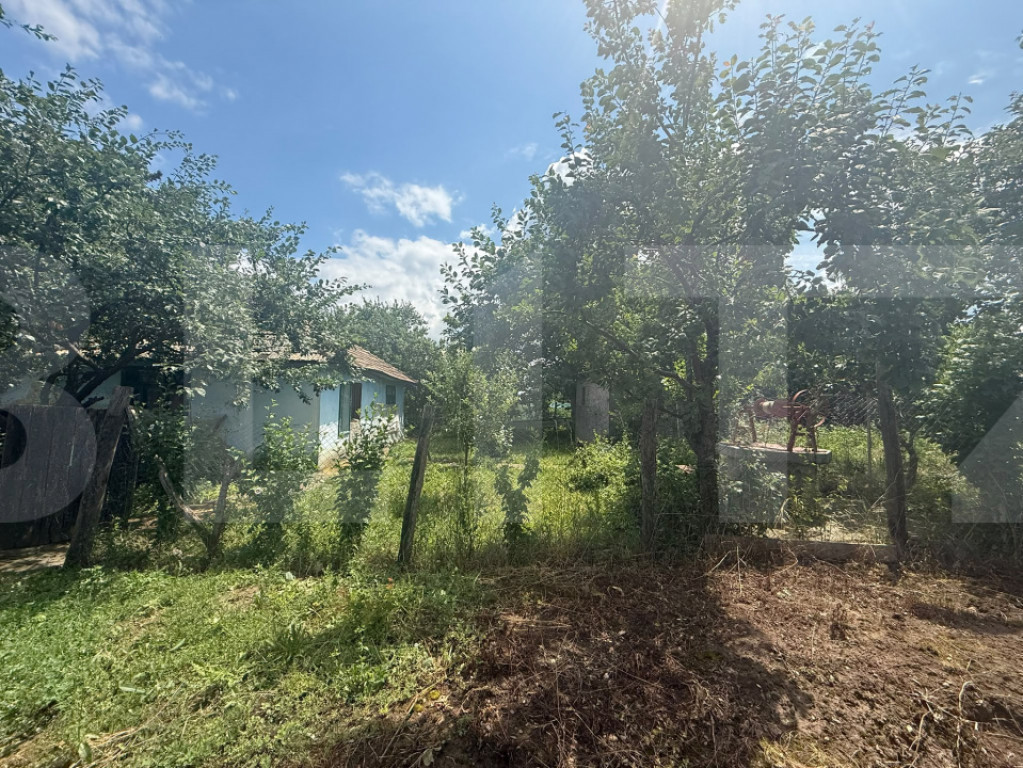 Casă individuală, 55 mp, teren 5000mp, Schit Orășeni, Co