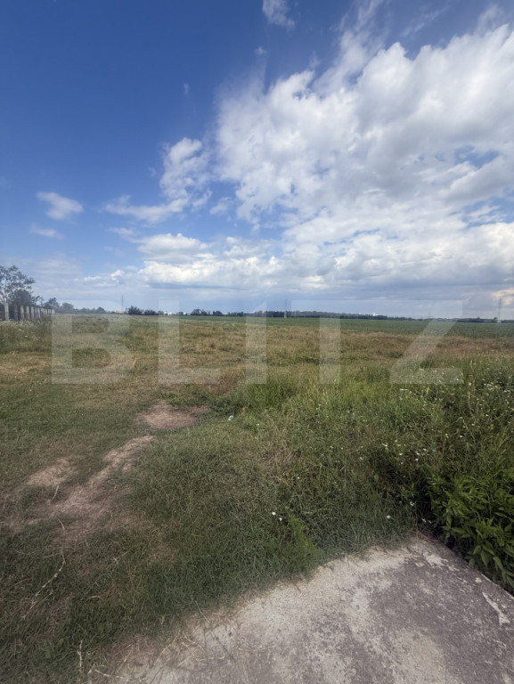 Teren intravilan, 1.000 mp, zona Priseaca