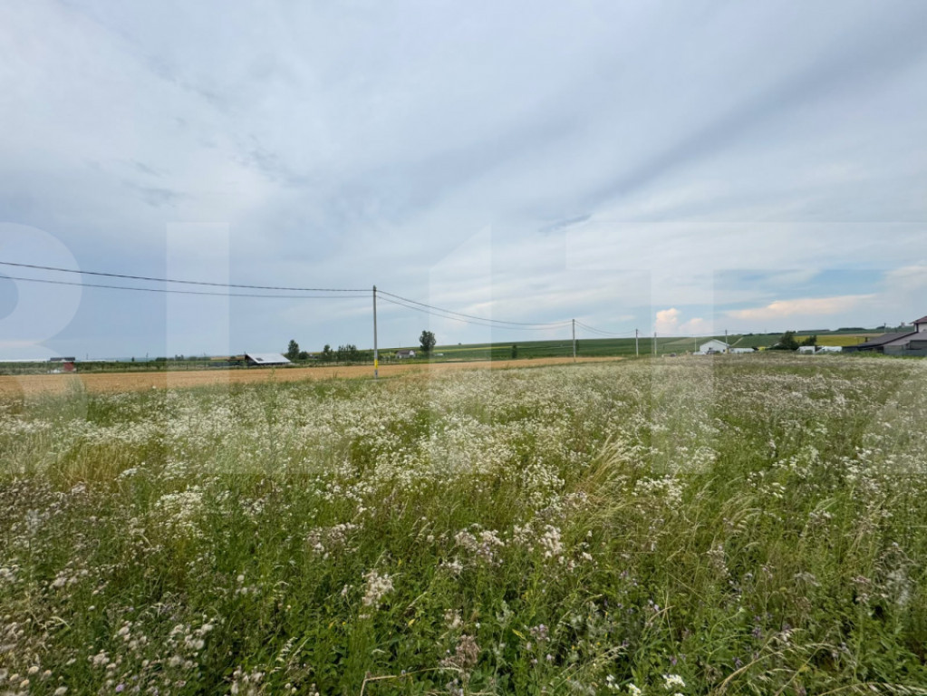 Loturi teren, 700 mp, Rachiti, Botosani