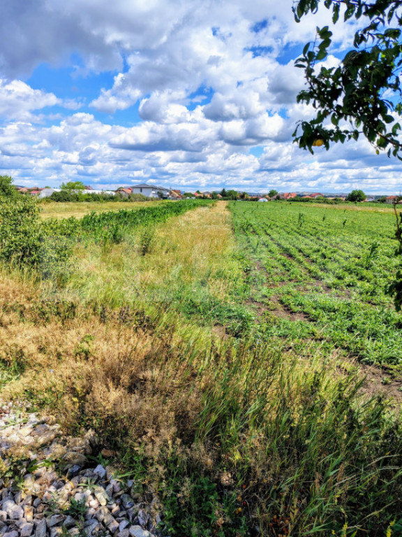 Teren intravilan, 2296 mp, zona Jucu de Mijloc