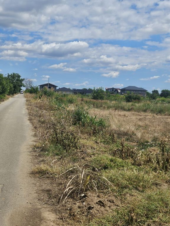 Teren 8000 mp intravilan rezidential Adunatii Copaceni (M...