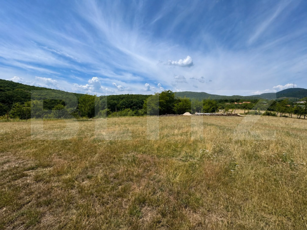 Teren intravilan de vânzare – 480 mp, zona Pădurea Bejan