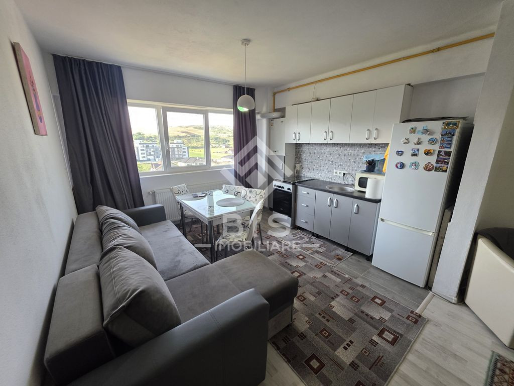 Apartament 2 camere Malinului