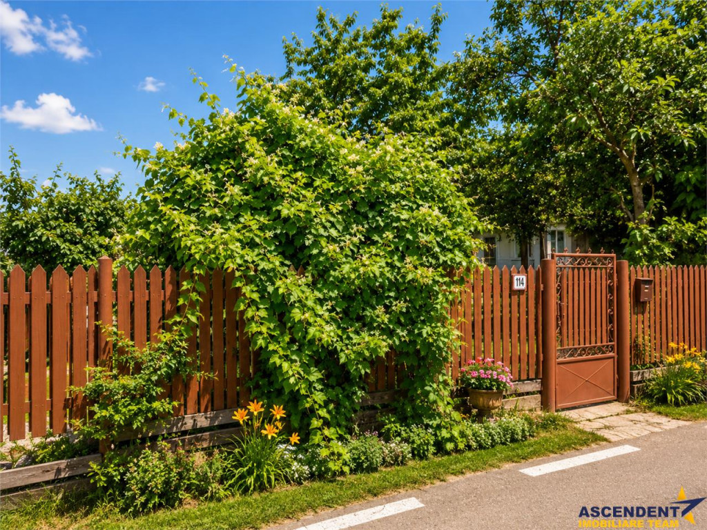 Casa traditionala, cu 2.000mp teren roditor, Izvoarele, Prah