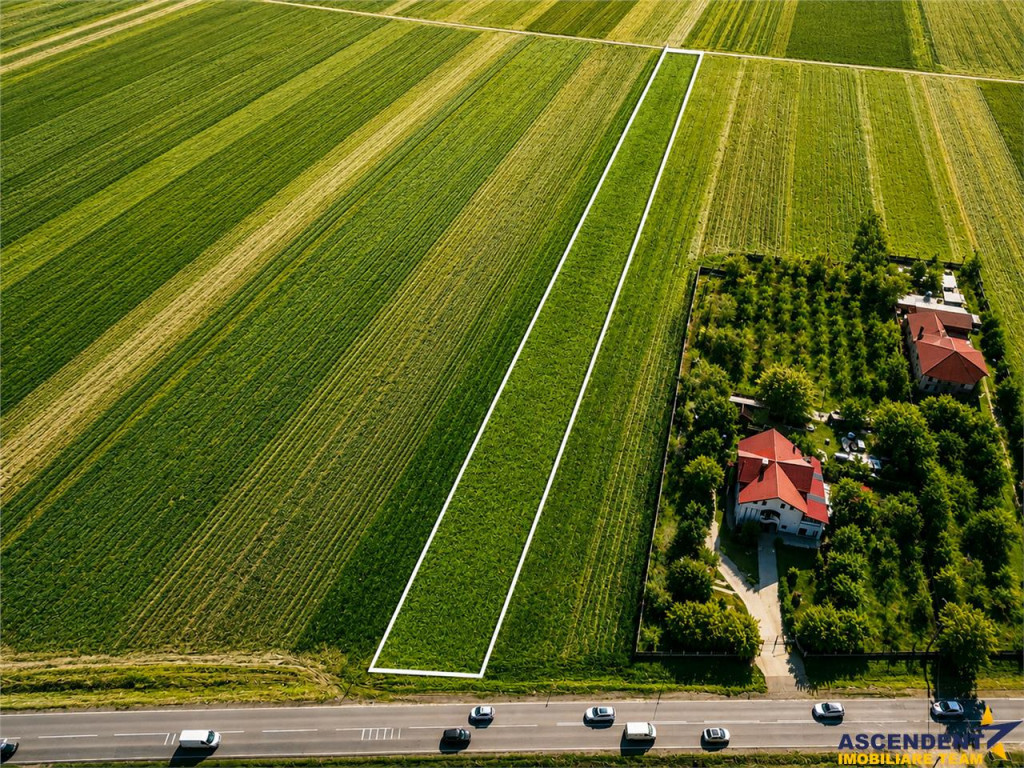FILM! Teren intravilan 7.500 mp, deschidere dubla, DN11 (E57