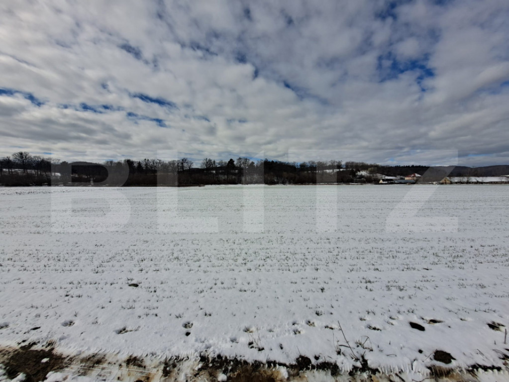 Teren intravilan agricol de vânzare, 10.640 mp, front, Vulc