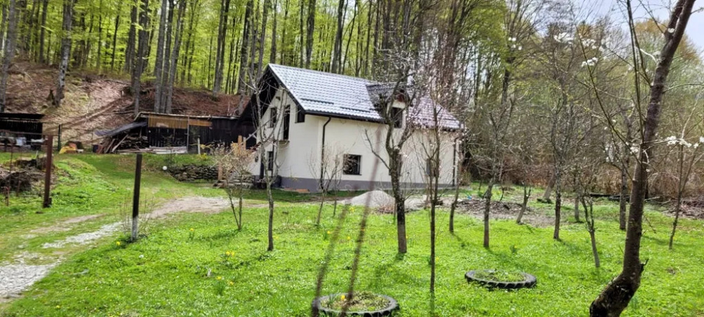 Cabana 4 camere zona Valea Avrigului