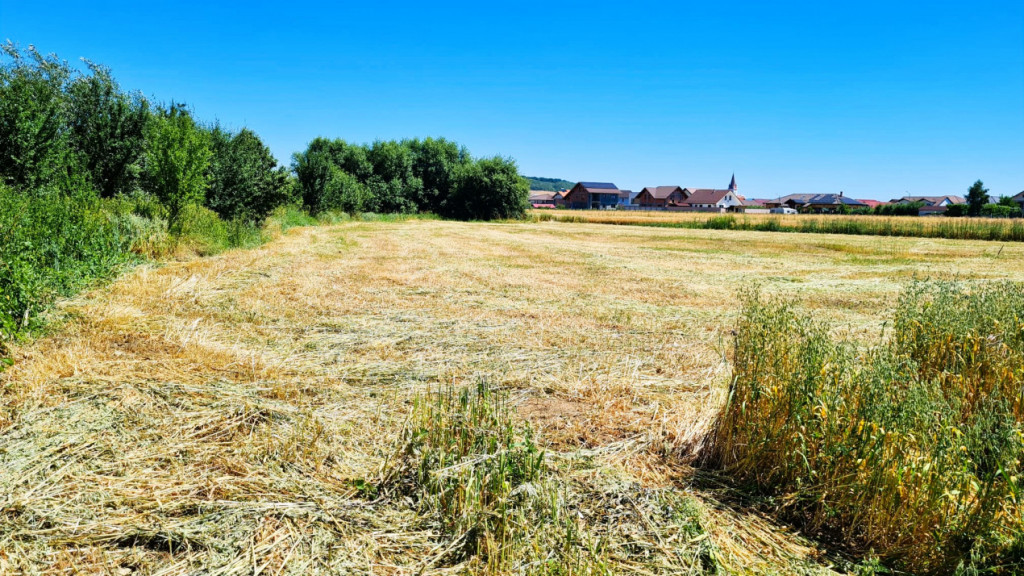 Teren de 4000 mp intravilan in Cristian