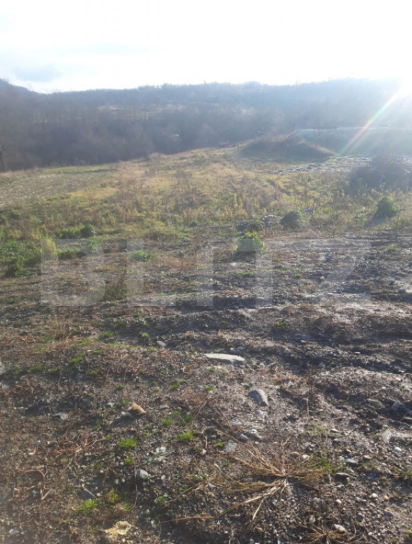 Teren intravilan de vanzare, cu proiect pentru casa