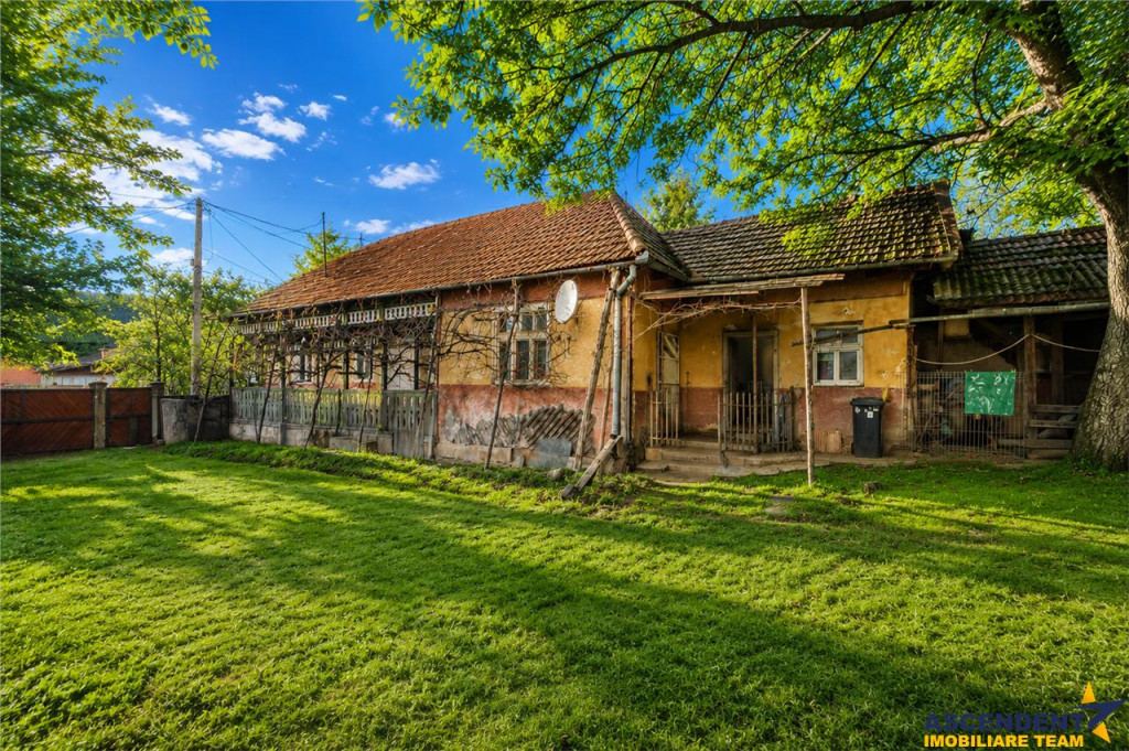 FILM! Casa si anexe, pe domeniu de 6.221mp, livada pomi fru