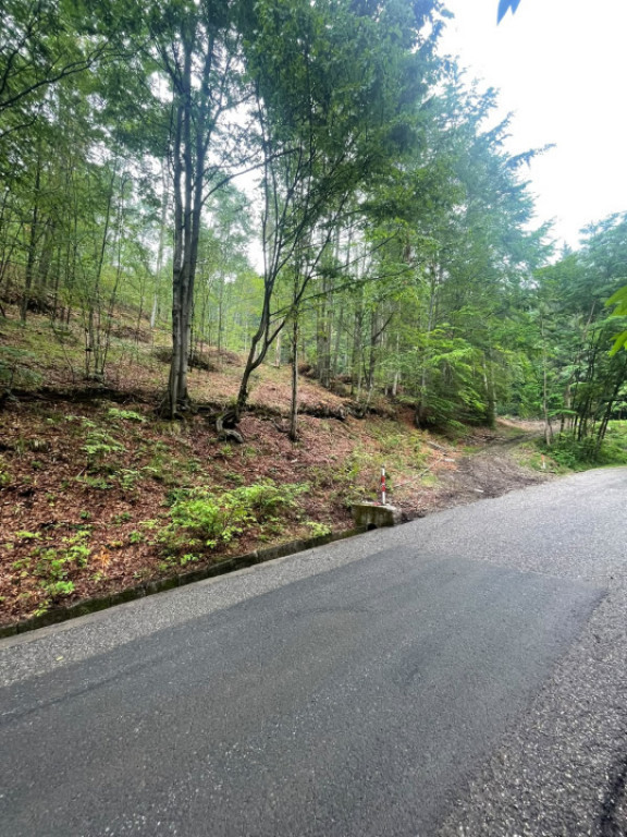 Teren intravilan, 2.6 ha, zona Complex Turistic Suior