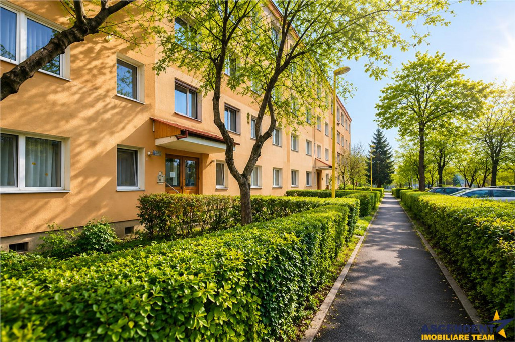 Apartament 2 camere, cartierul Florilor, renovabil, spatiu v