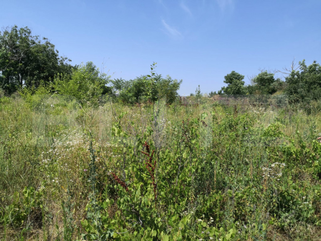 Teren de vanzare, 2.845 mp, zona Craiesti