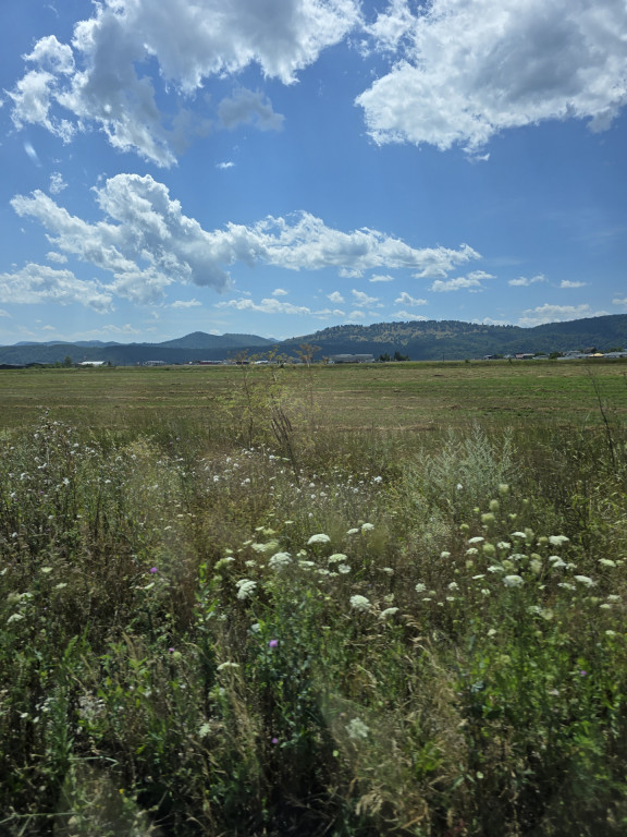 37.742 mp teren intravilan industrial – Dumbrava Roșie