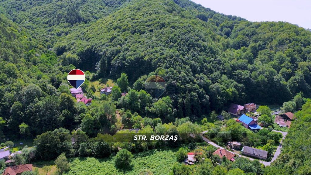 De vanzare in Baia Mare CASA SUB PADURE