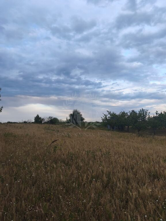 TEREN INTRAVILAN//PAULESTI//2930MP