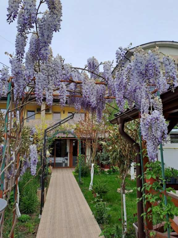 Casă P+1+M de vânzare, 5 camere, foișor, bucătărie de v