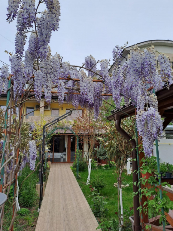 Casă P+1+M de vânzare, 5 camere, foișor, bucătărie de v