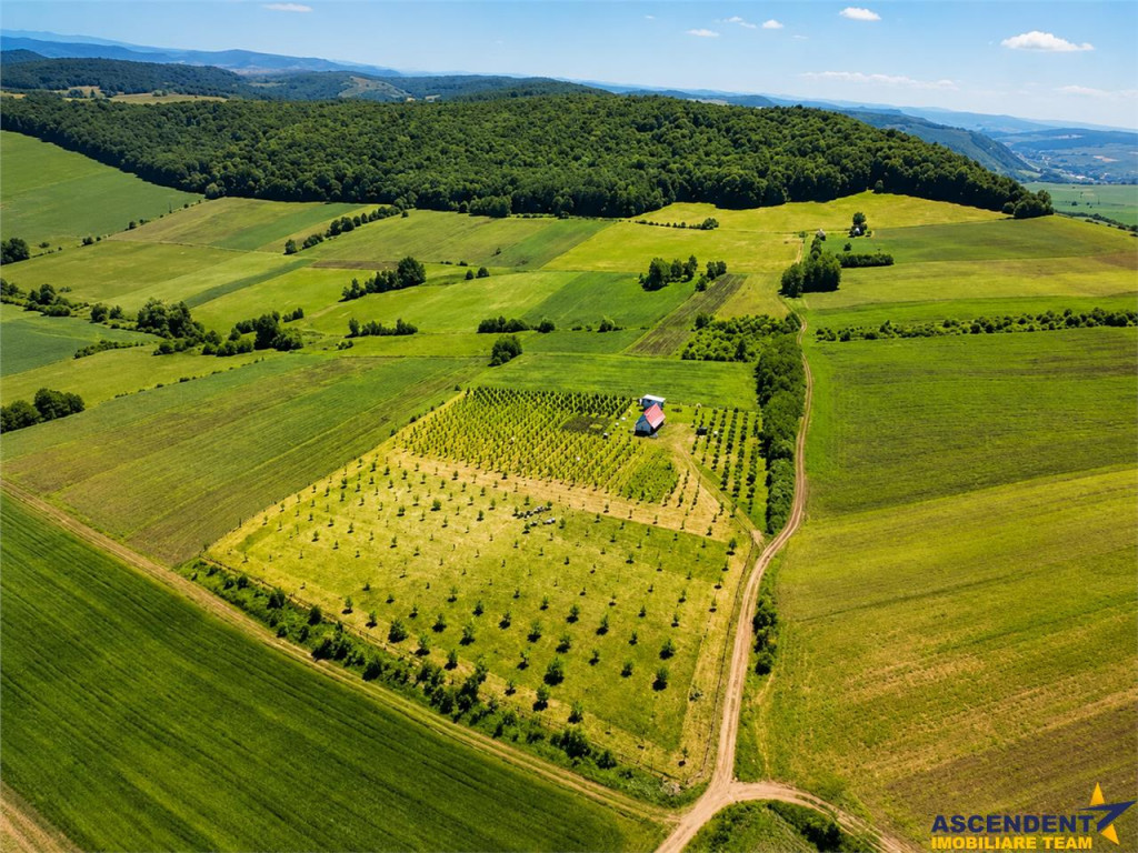 Afacere la cheie, dar si refugiu intr -o oaza de liniste in