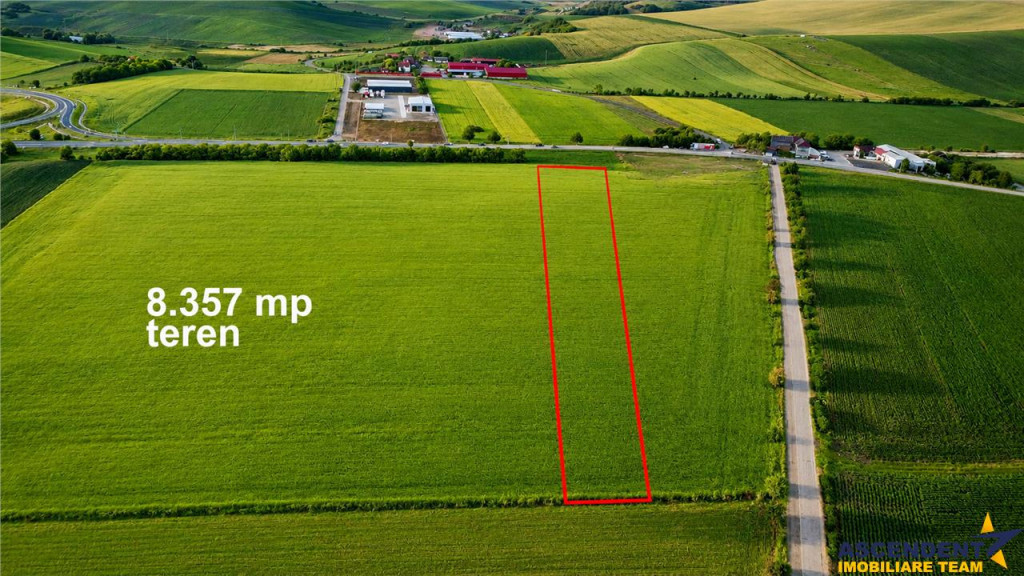 Teren logistic 8.397 mp, Ludus: Vizibilitate si acces direct
