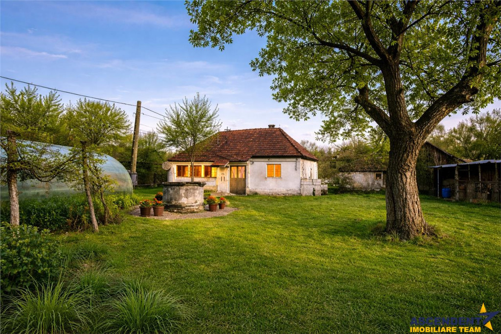 FILM! Casa cu sura, pivnita, balta cu pesti, 2.280 mp teren