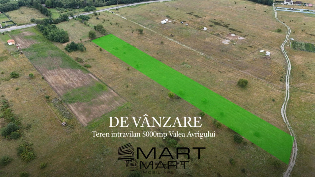 Teren intravilan 5000mp Valea Avrigului