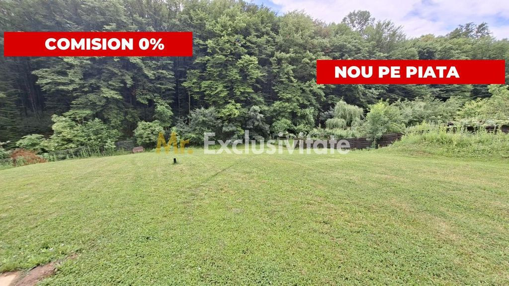 Teren intravilan 1203 mp Bascov-Florea zona Superba