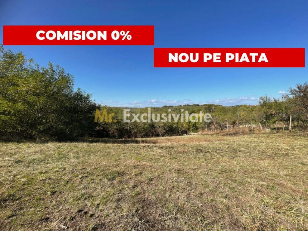 Teren generos Argeș Babana
