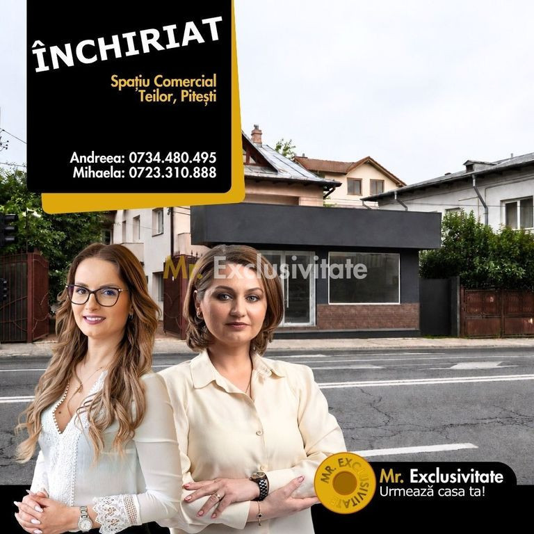 Spatiu Comercial Stradal -zona Teilor -De închiriat-Pitesti