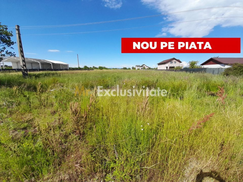 Teren intravilan Bradu 1312 mp 2 deschideri