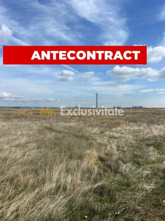 Teren 10.000 mp zona industriala Albota 10 euro mp -Arges