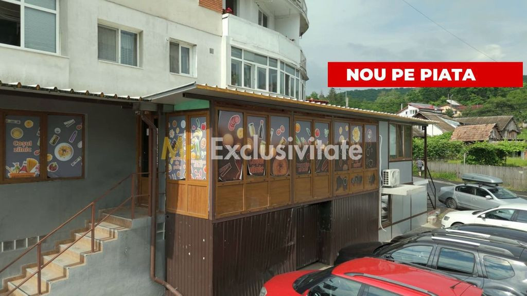 Domeniu Pensiune Transfagarasan 20855